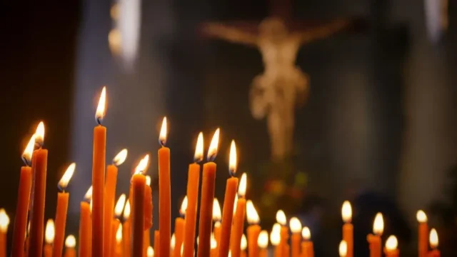 Защо не бива да ходите в гората? Забраните