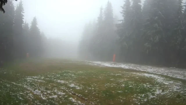 Зимата идва по-рано! Сняг пада на неочаквано място до края на седмицата