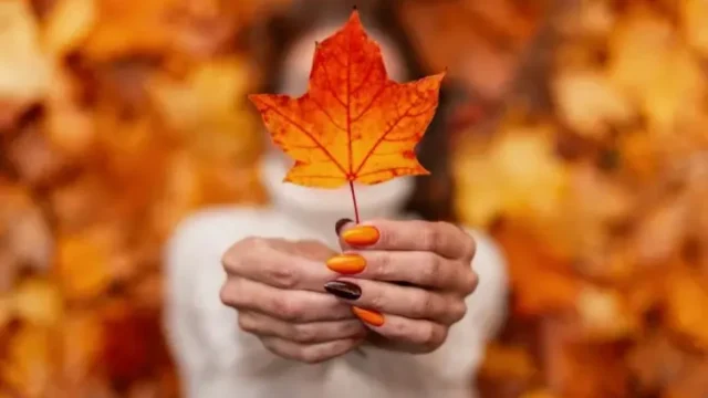 Изненада от времето. Голям подарък