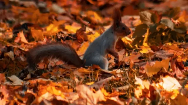 Октомври като ноември - студ и слани в неделя