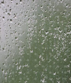 Code Orange Alert for Heavy Rainfall Issued for Several Regions in Bulgaria Code Orange Alert for Heavy Rainfall Issued for Several Regions in Bulgaria