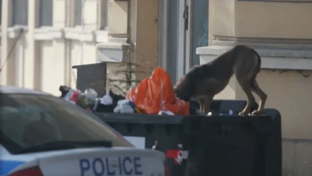 Кой ще плаща по-високи такси от Нова година