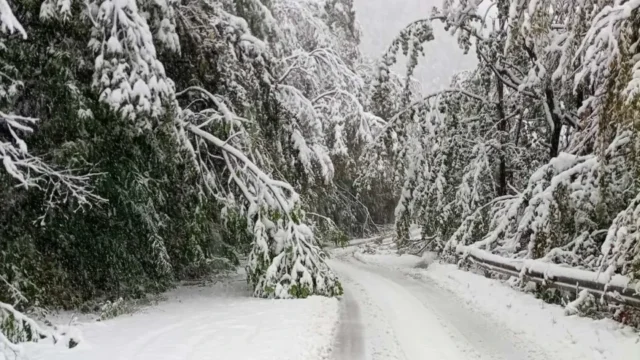 Най-важният проход у нас остава затворен заради опасност