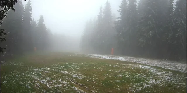 Наша голяма община удължава бедственото положение с още 30 дни Наша голяма община удължава бедственото положение с още 30 дни