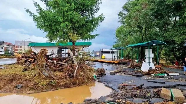 Ненаучените уроци: Бисер, "Аспарухово", Мизия, Царево, "Елените"...