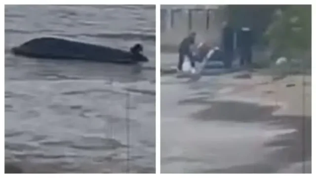 Нова трагедия! Още една жертва на Елените