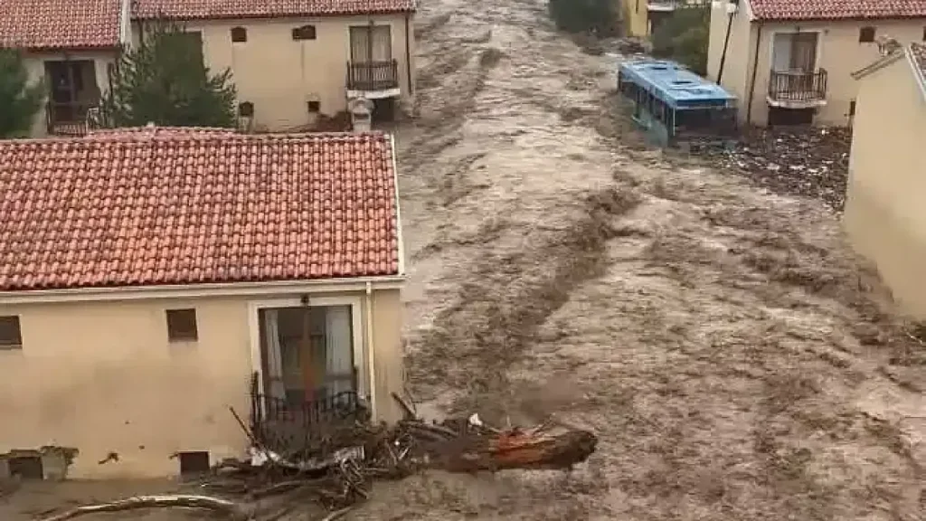 Нови разкрития за последните часове на Елена