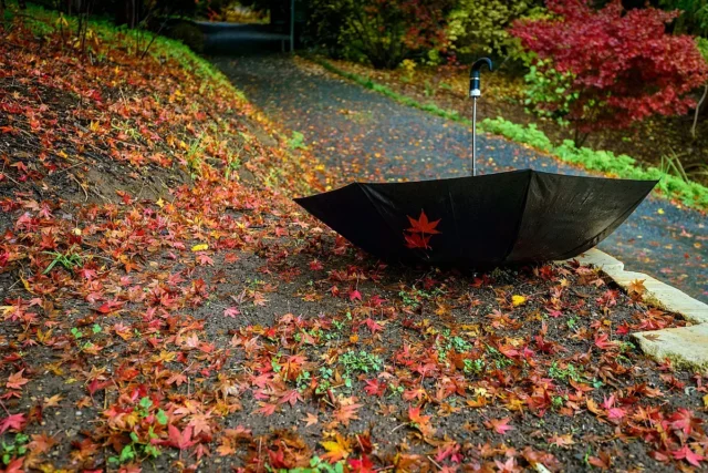 Обрат с времето до дни. Нов кошмар