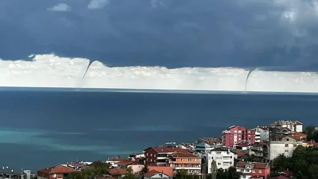 Тази снимка от морето смрази народа!