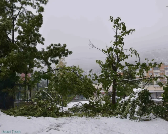 Частично бедствено положение обявиха в Етрополе Частично бедствено положение обявиха в Етрополе