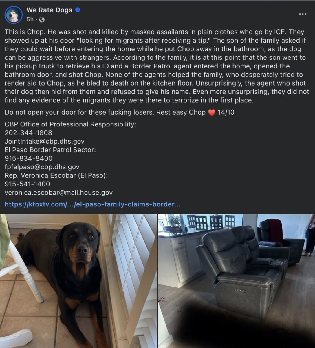 ‘f*cking losers’: massively popular dog-themed instagram account bashes ice for allegedly shooting pup in rare political post | 2025 the news from bulgaria - balgarianovinite. Com Weratedogs post
