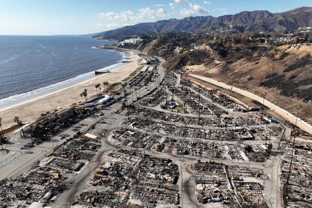 Just in: authorities id suspect accused of setting palisades fire that left 12 dead | 2025 the news from bulgaria - balgarianovinite. Com Just in authorities id suspect accused of setting palisades fire that left 12 dead 2025 the news from bulgaria jonathan rinderknecht, 29, was arrested this week for sparking the blaze that erupted into one of the worst wildfires to strike california. The post just in: authorities id suspect accused of setting palisades fire that left 12 dead first appeared on mediaite. Just in: authorities id suspect accused of setting palisades fire that left 12 dead investigative journalism and investigative reporting news agency burgas bulgaria