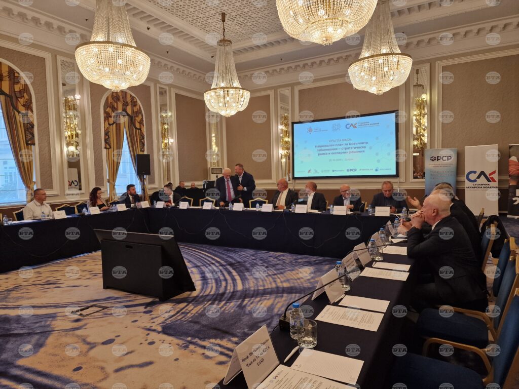 Medics discuss draft of bulgaria's national brain health plan