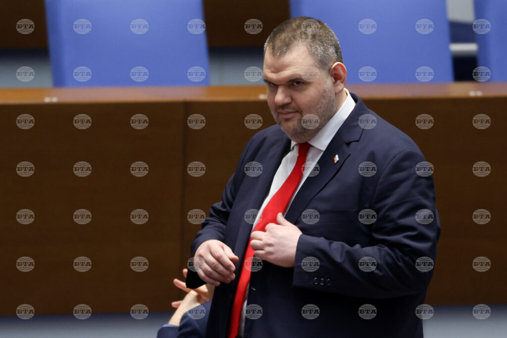 Mrf-new beginning leader peevski backs borissov for parliament chair, reaffirms support for zhelyazkov cabinet