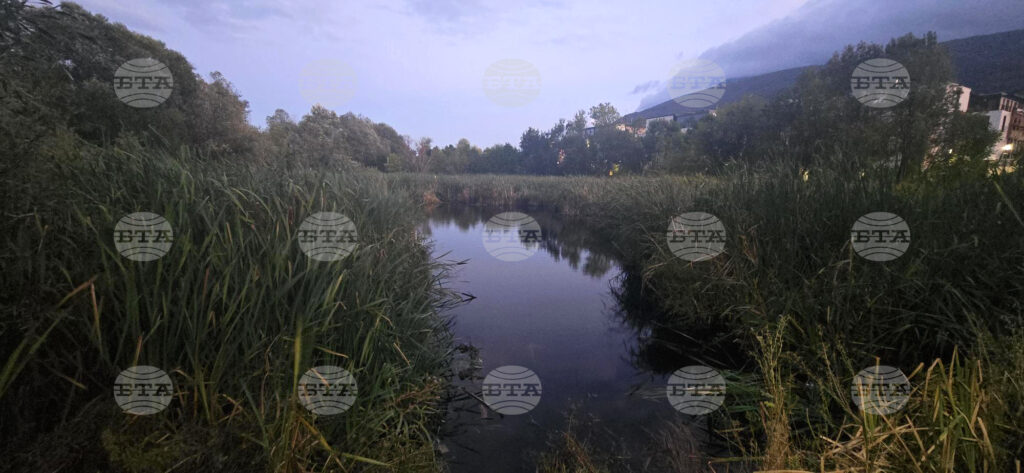 Sofianites protest real estate projects threatening sofia's boyana marsh