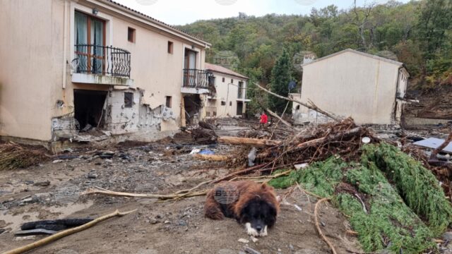 State of Emergency Lifted in Elenite Resort State of Emergency Lifted in Elenite Resort