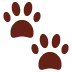 🐾