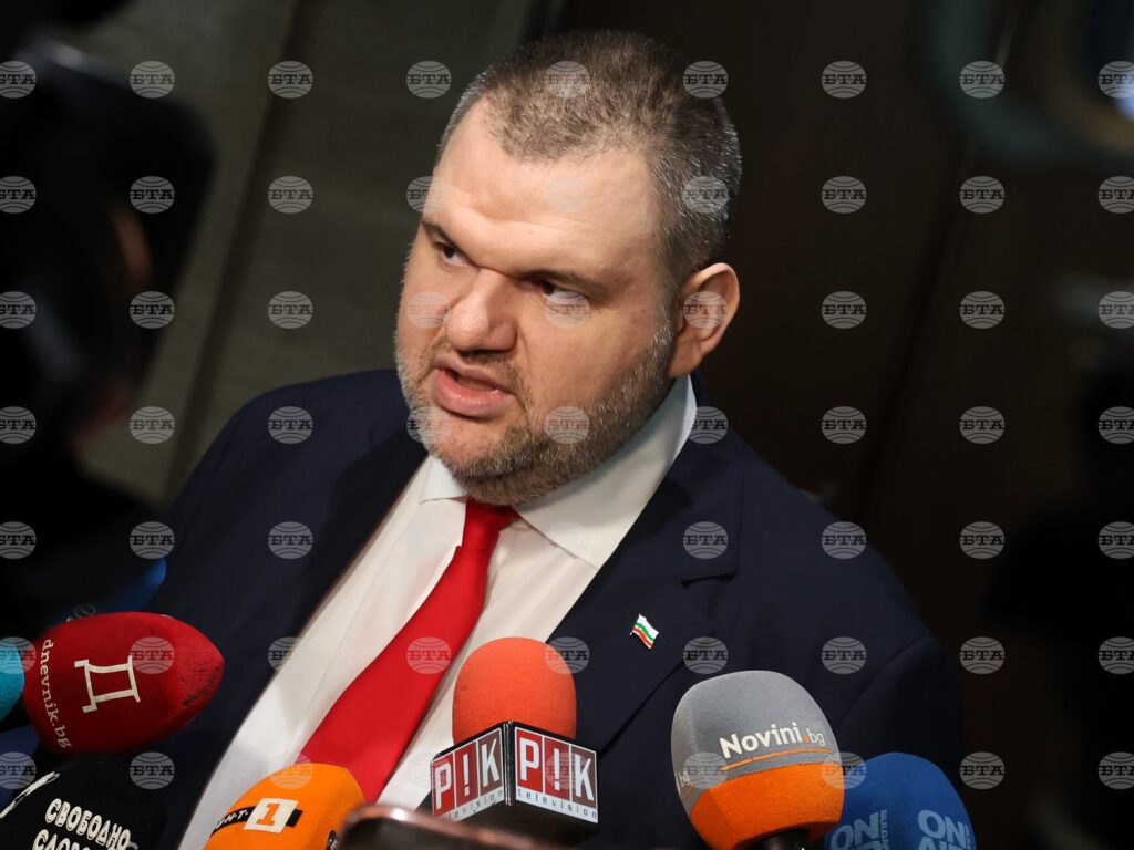 There will be no elections, mrf-new beginning leader peevski says