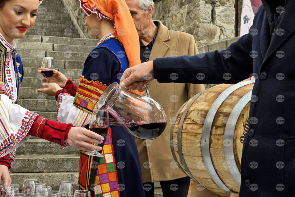 17th young wine festival opens in plovdiv 2025 | six people injured 2026 world news from bulgaria - balgarianovinite. Com 17th young wine festival opens in plovdiv 2025