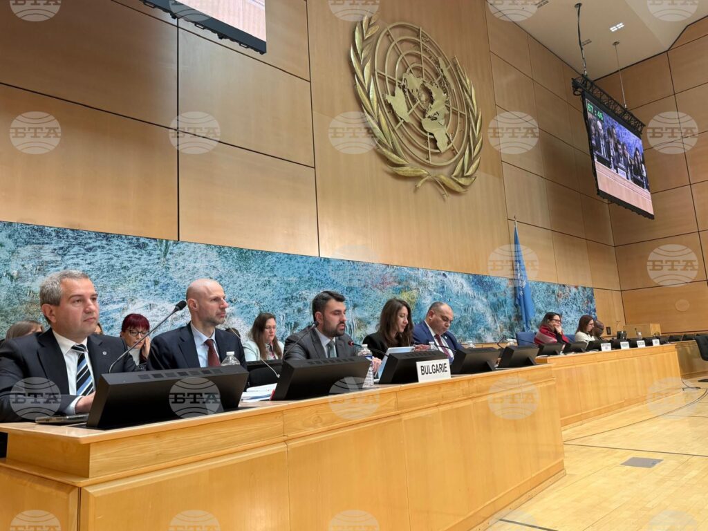 Bulgaria adheres to highest standards for protection, promotion of human rights, fm georgiev says