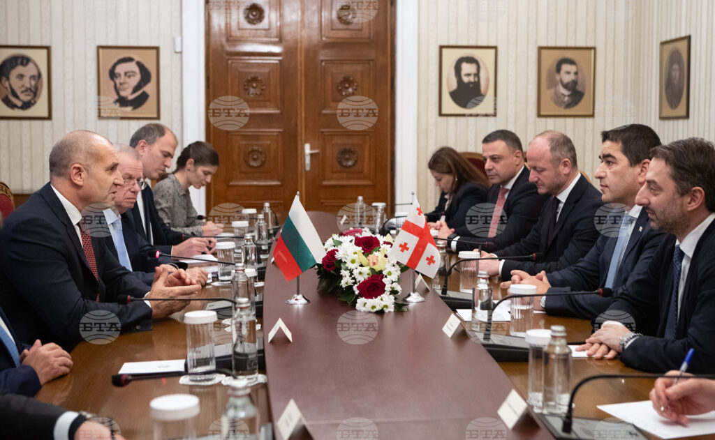 Bulgaria, georgia have potential to deepen connectivity, president radev says 2025