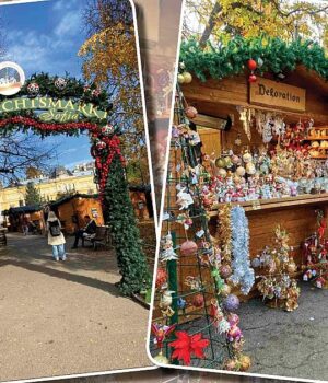 Тази сладка и мечтана Коледа! 2025 Тази сладка и мечтана Коледа! 2025