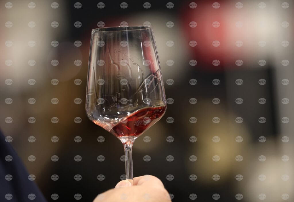 Divino. Taste forum to bring together the world of bulgarian wine from november 28 to 30 2025 | french national centre 2026 world news from bulgaria - balgarianovinite. Com Divino. Taste forum to bring together the world of bulgarian wine from november 28 to 30 2025