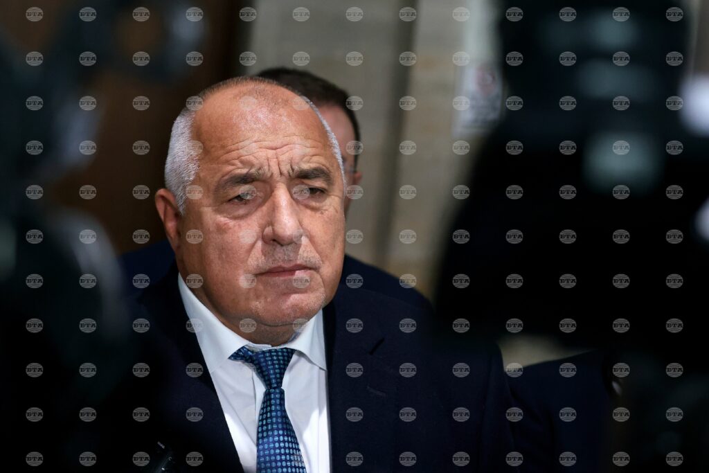 Gerb leader borissov: bulgaria and germany developing excellent bilateral ties 2025