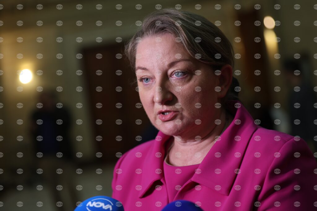 Gerb-udf's sacheva: this is only possible budget amid conflicting political demands 2025