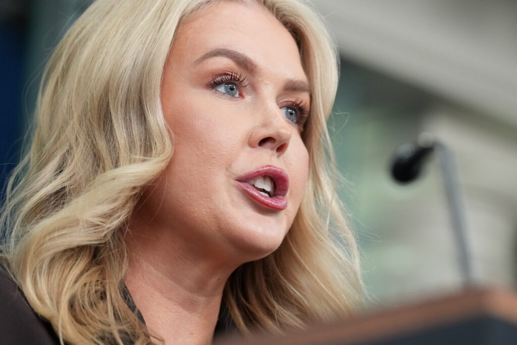 Mother of karoline leavitt’s nephew arrested by ice 2025