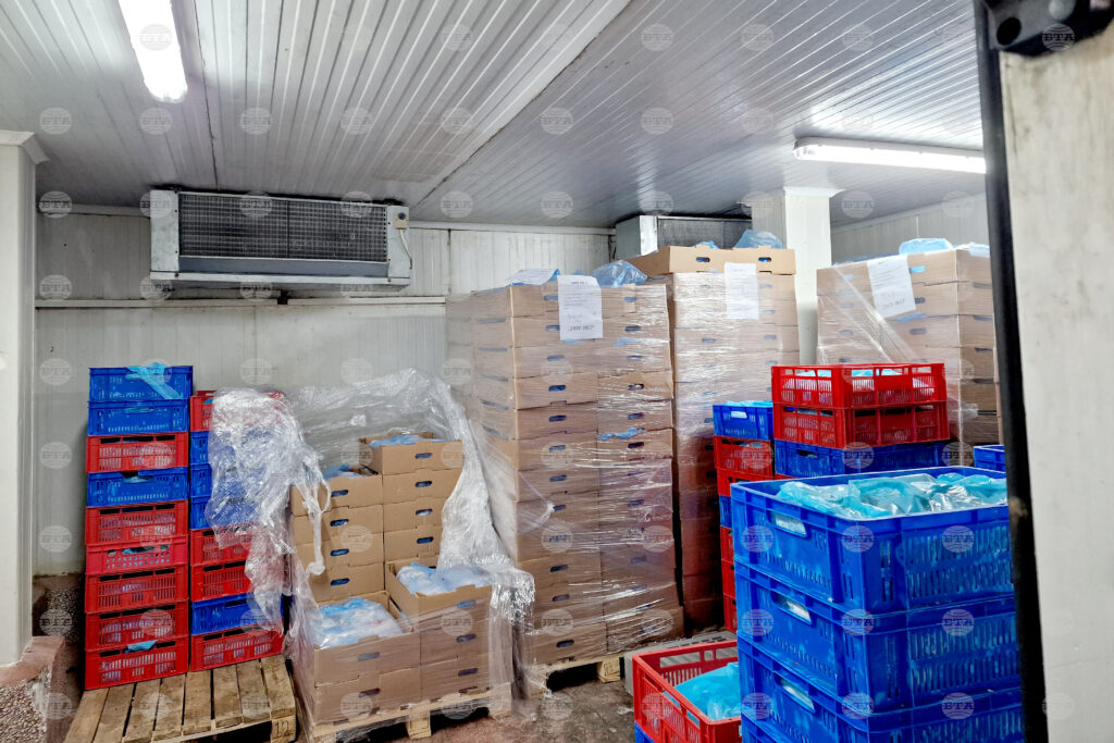 Nearly 9 Tonnes of Meat of Unclear Origin Found at Processing Plant in Sofia
