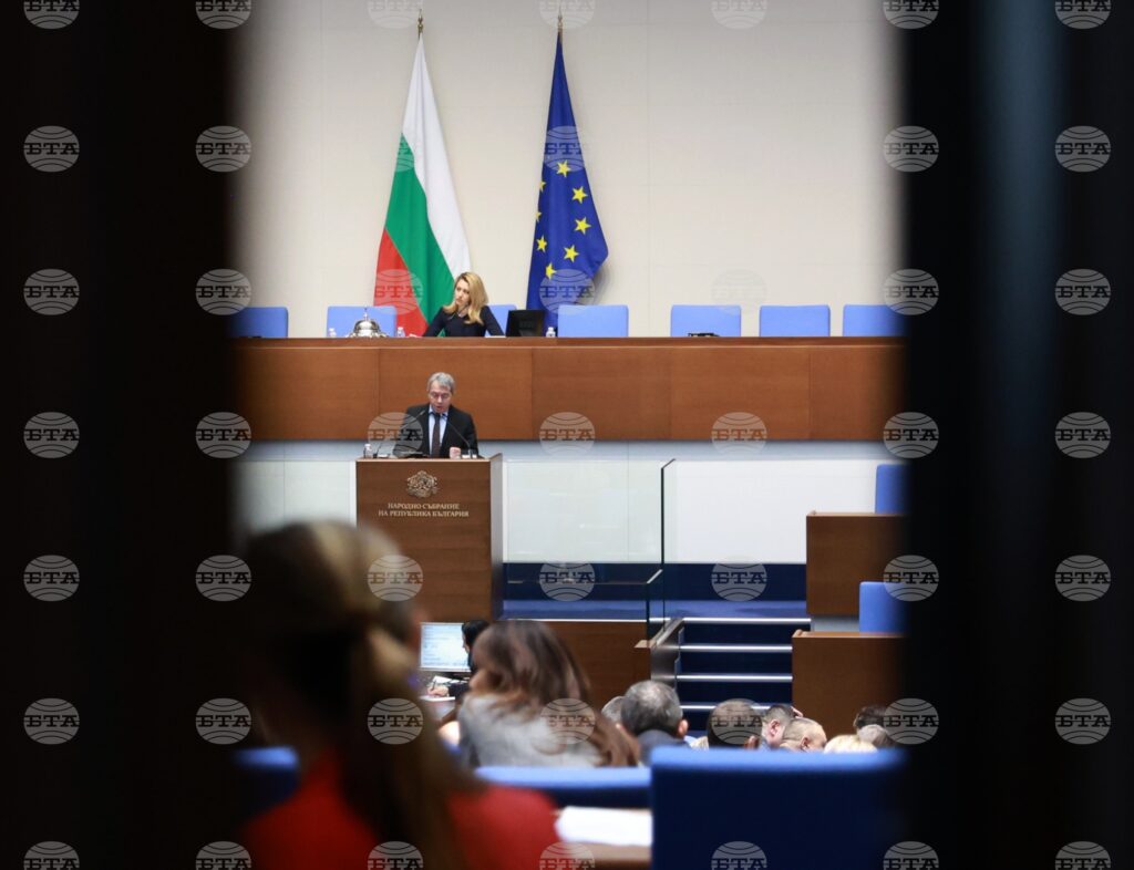 Parliament approves rules for election of new bta director