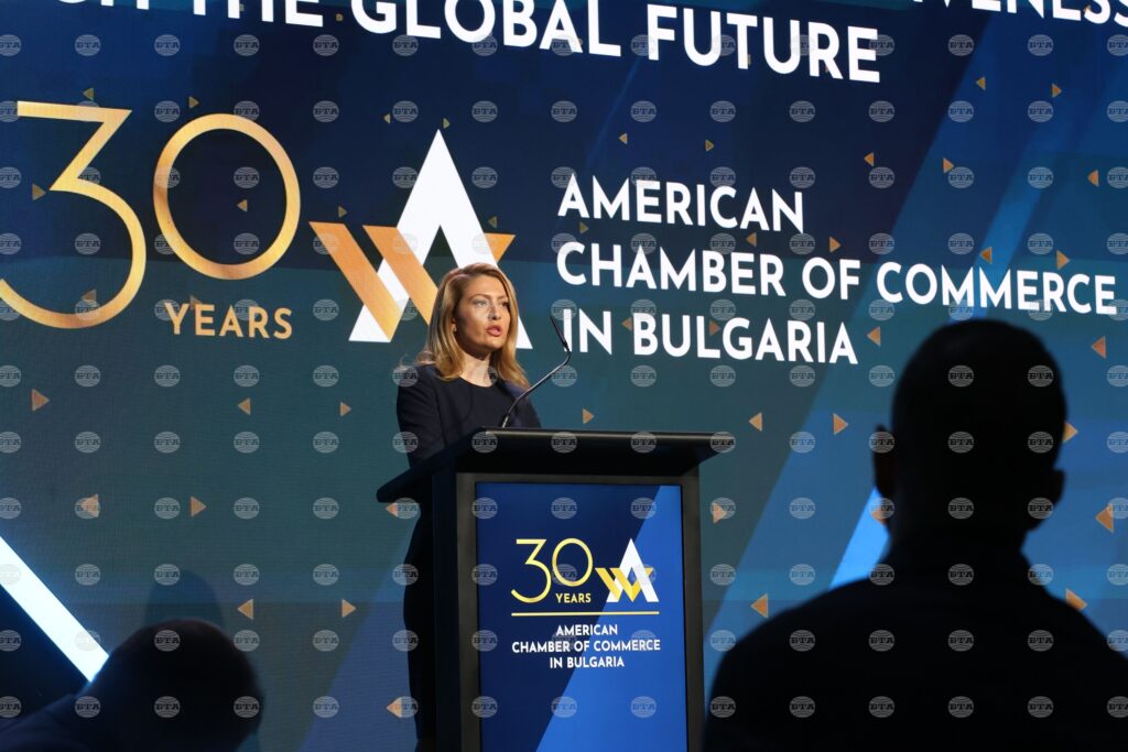 Parliament chair highlights competitiveness, transatlantic cooperation at amcham’s 30th anniversary forum