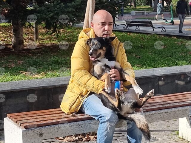 Rallies in Sofia, Varna Demand Effective Penalties for Acts of Animal Cruelty 2025 Rallies in Sofia, Varna Demand Effective Penalties for Acts of Animal Cruelty 2025