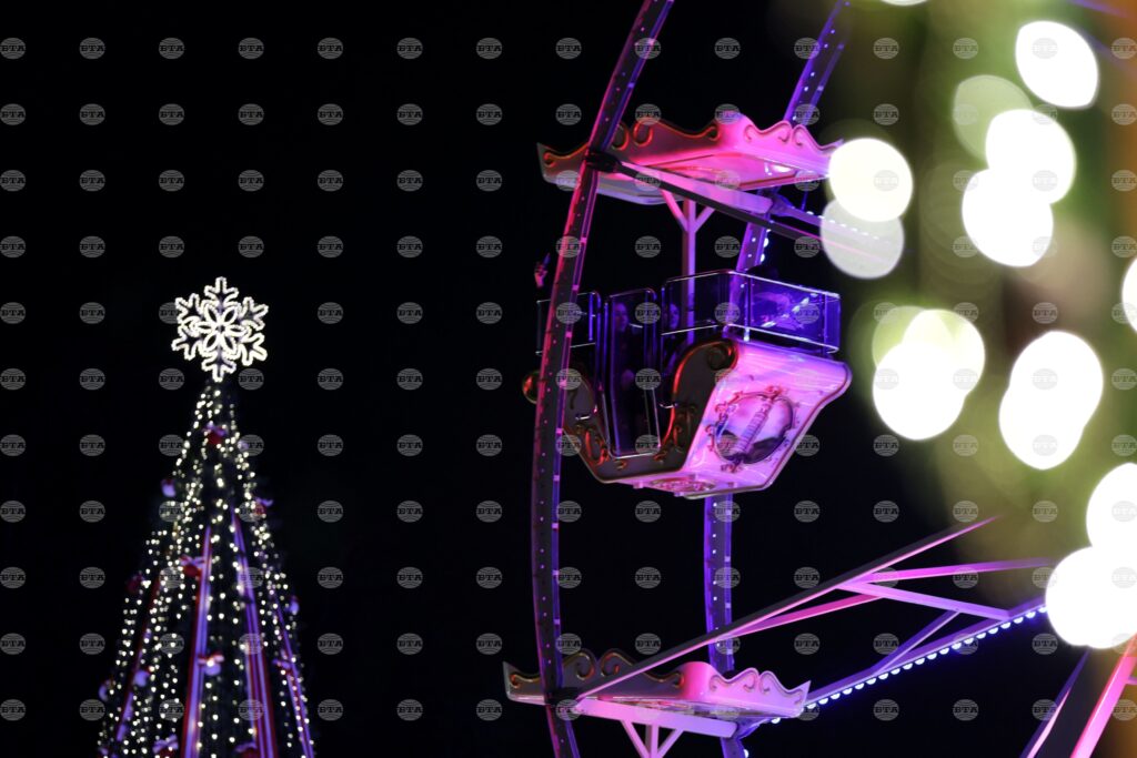 Thousands of lights to illuminate sofia’s christmas tree 2025 | french national centre 2026 world news from bulgaria - balgarianovinite. Com Thousands of lights to illuminate sofia’s christmas tree 2025