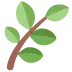 🌿