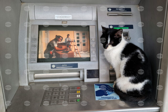 Banking System Reports 3.3% Rise in Profit at End-September, Y/Y 2025