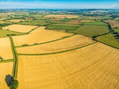 Важно за собствениците на земя. Какво ще се случи с рентите 2025 Важно за собствениците на земя. Какво ще се случи с рентите 2025