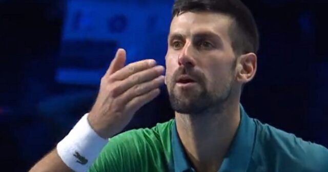 Джокович призна за бъдещето си 2025