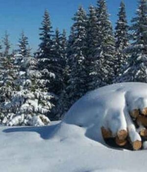 До часове! Сняг и дъжд обхващат тази част на България 2025 До часове! Сняг и дъжд обхващат тази част на България 2025