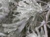 До часове става страшно! Минус 20 градуса на тези места у нас 2025 До часове става страшно! Минус 20 градуса на тези места у нас 2025