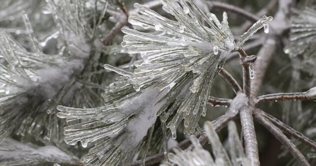 До часове става страшно! Минус 20 градуса на тези места у нас 2025