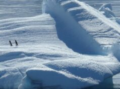 Нови разкрития за Северния полюс. Може да попречи на почивката ви 2025 Нови разкрития за Северния полюс. Може да попречи на почивката ви 2025
