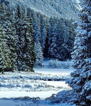 Топ климатолог предупреди: 25 см сняг за Коледа, а в първите дни на януари… 2025 Топ климатолог предупреди: 25 см сняг за Коледа, а в първите дни на януари... 2025