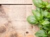 Царската билка, която подобрява вкуса на всяко ястие 2025 Царската билка, която подобрява вкуса на всяко ястие 2025