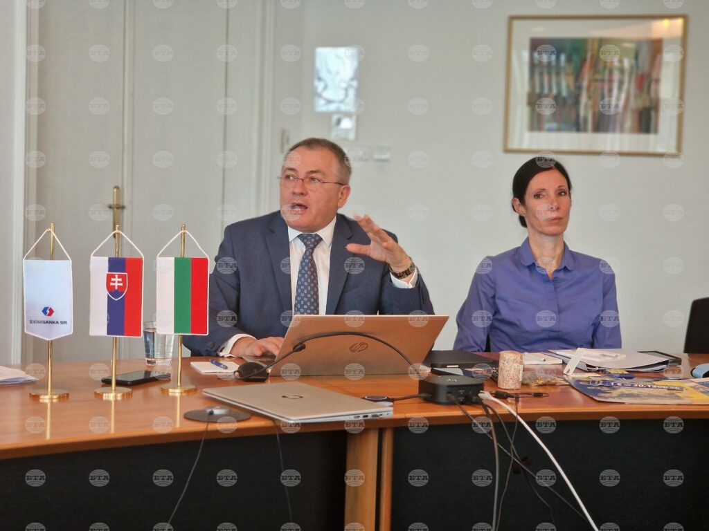 Euro adoption in slovakia opened door to reforms - eximbanka deputy ceo 2025