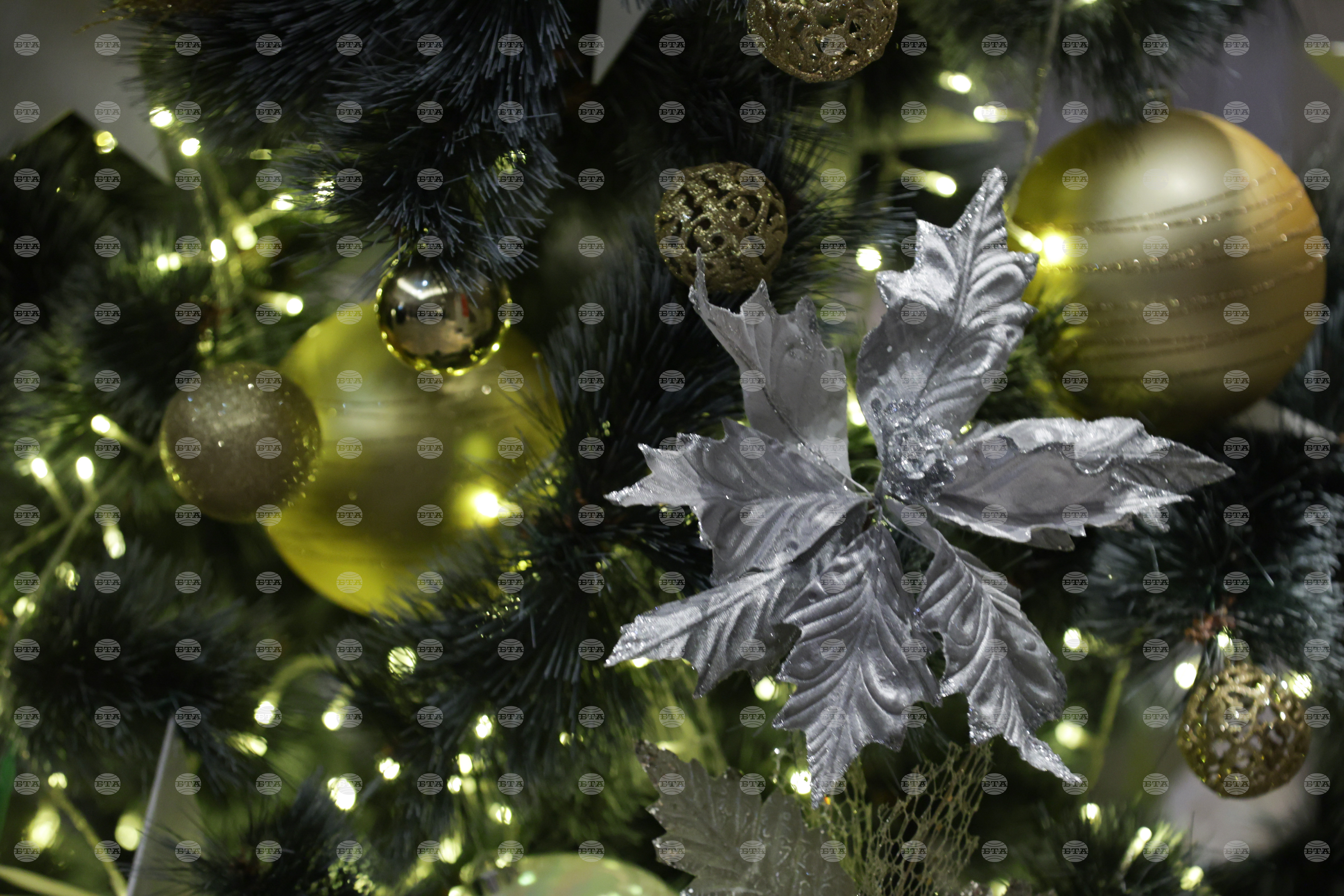 December the orthodox observances december 24 26 2025 2026 world news from bulgaria balgarianovinite. Com balgarianovinite. Com december 24
the orthodox church marks christmas eve. The world:
national day of libya:... Observances: december 24-26 2025 balgarianovinite. Com 2025-12-23 22:12:00 december the orthodox observances: december 24-26 2025 investigative journalism and investigative reporting news agency burgas bulgaria
