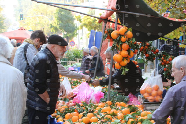 Sellers at Farmers' Markets in Greece to Stage Indefinite National Strike from January 7 2025