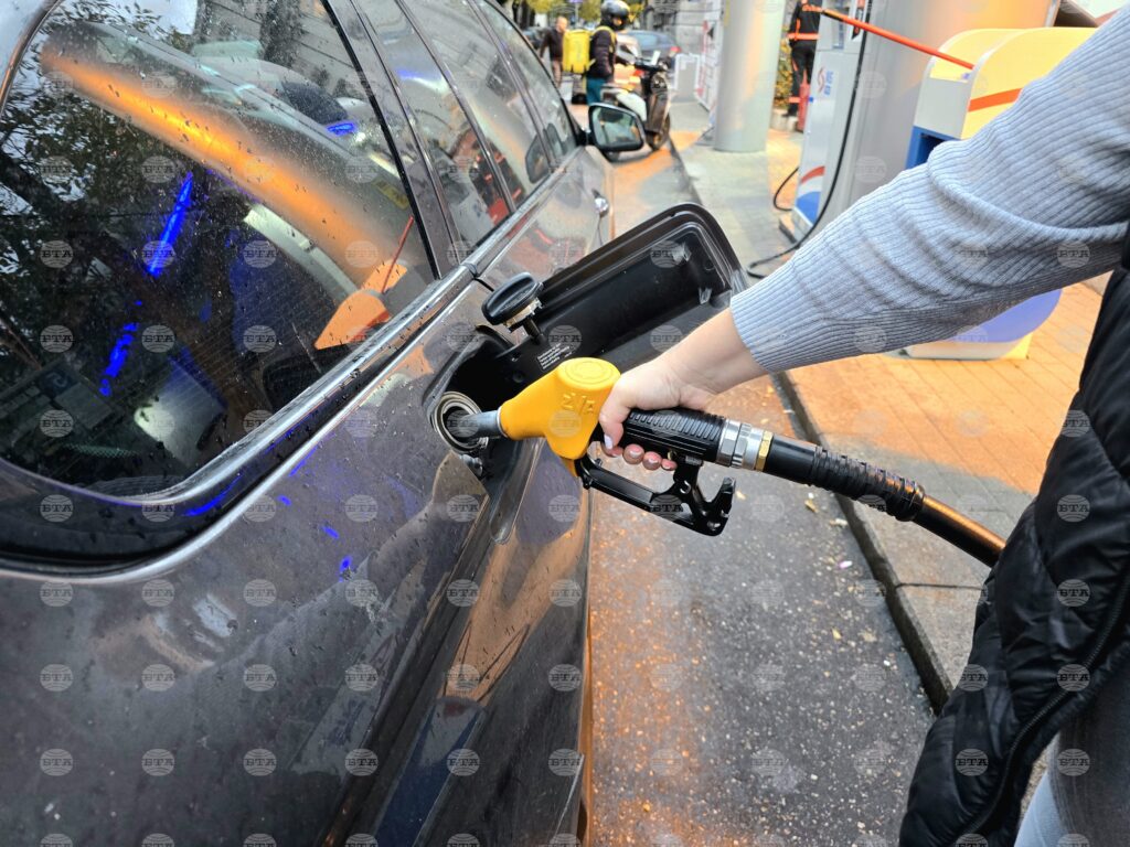 Serbia’s fuel supplies to be secured by hungary, north macedonia - serbian association of employers honorary president 2025