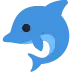 🐬
